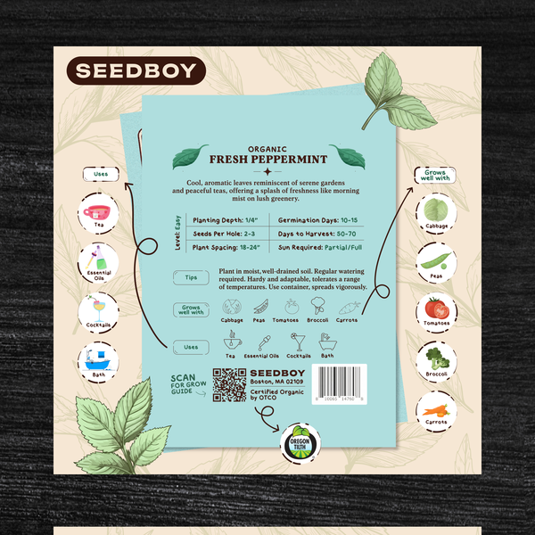 Amazone Listing Product Design