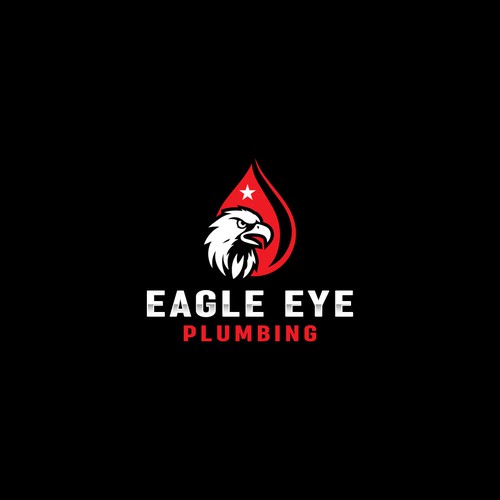 Eye catching and very marketable logo for plumbing company. The company name is Eagle Eye Plumbing Design by JakirVector