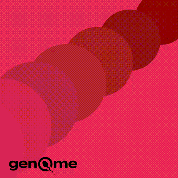 Design by Yevhen Genome titled "Web Design Collection"