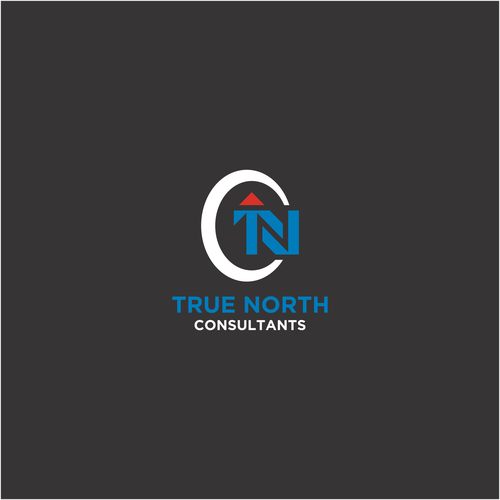 True North Consultants Design by karahayon