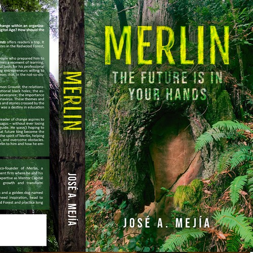 Book Cover Design for a  Personal Development Book Design by desainbagus3