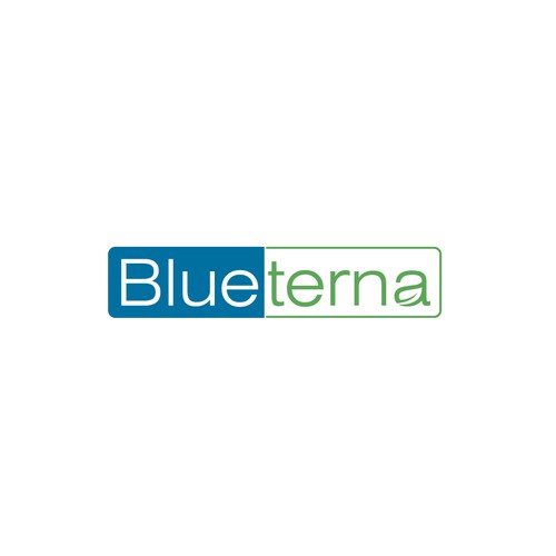 Blueterna Branding contest Design by The Sains