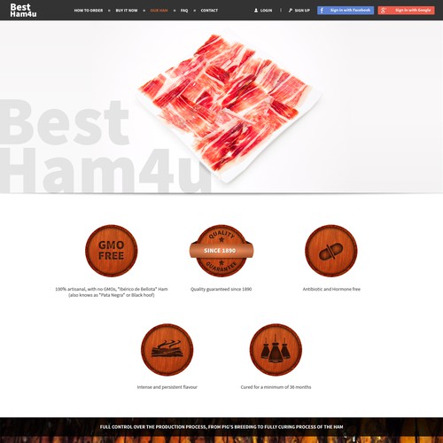 Web page design contest entry by MartinCS