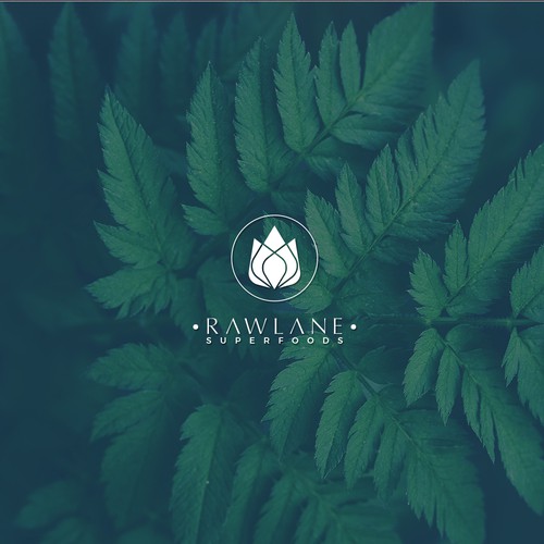 Logo design contest entry by Felipe Sánchez