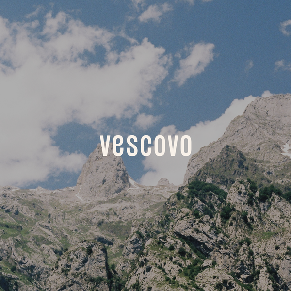 Vescovo