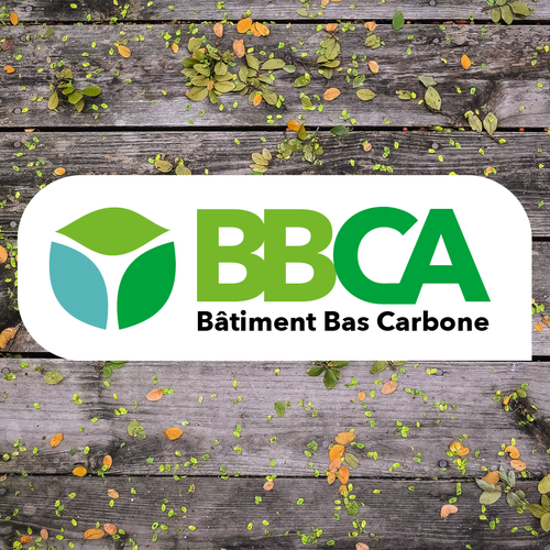 Logo & brand identity pack contest entry by Blueberries