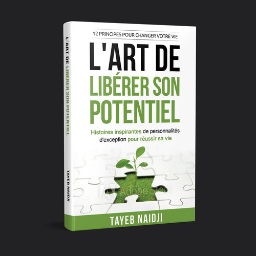 Book cover contest entry by Luigi99