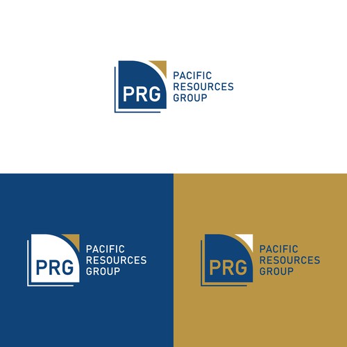 PRG Logo and Brand Guide Design by GraphicAjwa