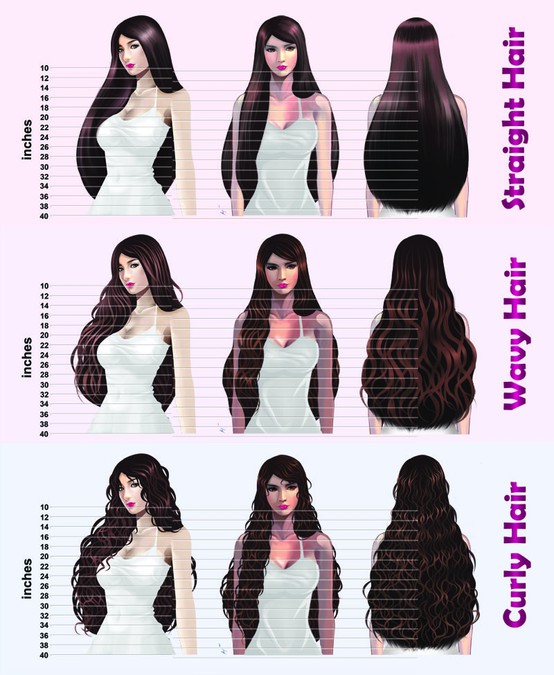 Hair Length Chart Illustration Needed Other Art Or Illustration