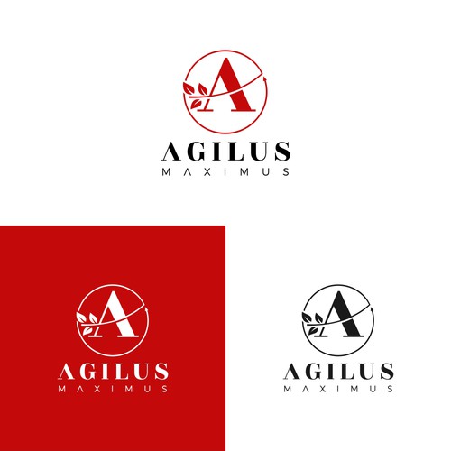 Logo for project "agilus-maximus.com" Design by MOHStudio_