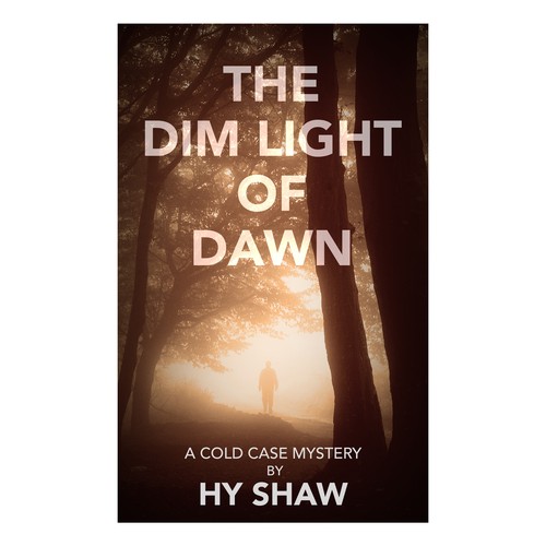 Enticing book cover for a cold-case mystery! Design by Chameleonstudio74