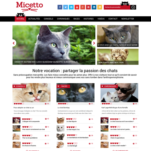 Web page design contest entry by mdcreation