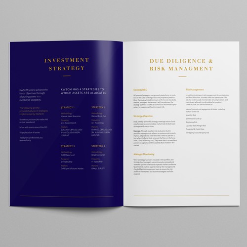 Design a high end marketing brochure for a start up fund Design by OffGrid