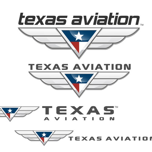 new-logo-for-aviation-company-logo-design-contest