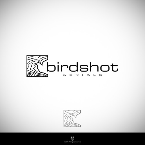 Create a high-flying view for Birdshot Aerials Design by Mastah Killah 187