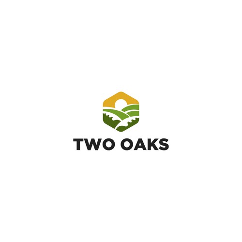 Construction, 3 business owners, use the work TWO oaks in our logo , very bold and intense  graphic Design by Bang Roki