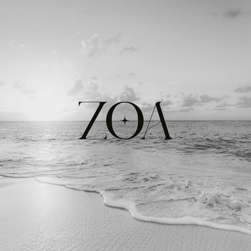 Designs Logo for curvy swimwear brand Logo design contest