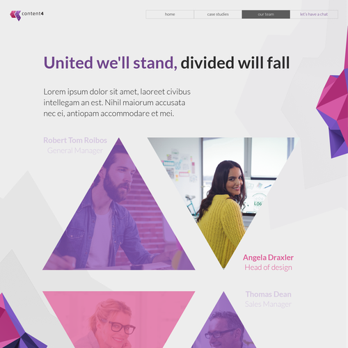 Web page design contest entry by bota