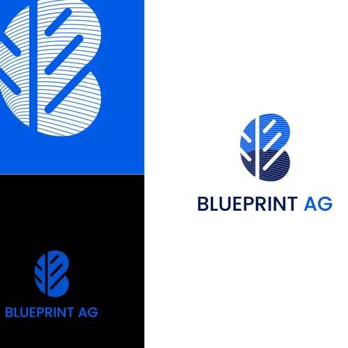 Diseño de Blueprint Ag Design de E&S Designs