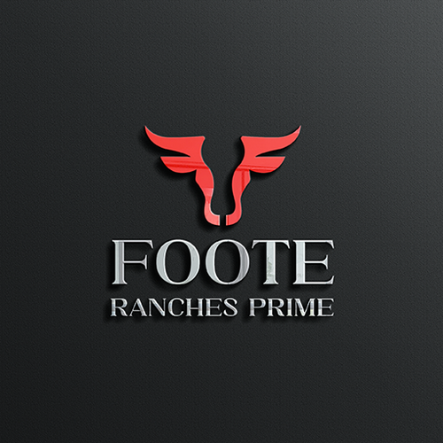 Help us design a high-end, luxury Beef brand for world-class steakhouses. Design by airdesigns24