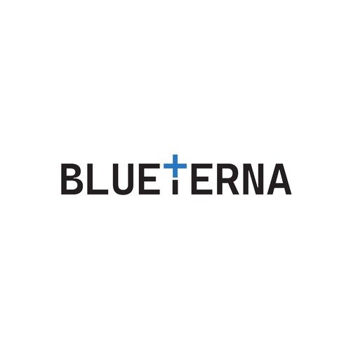 Blueterna Branding contest Design by Imam H.