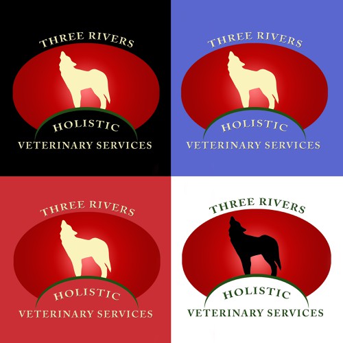 Logo for Holistic Veterinary Practice Logo design contest