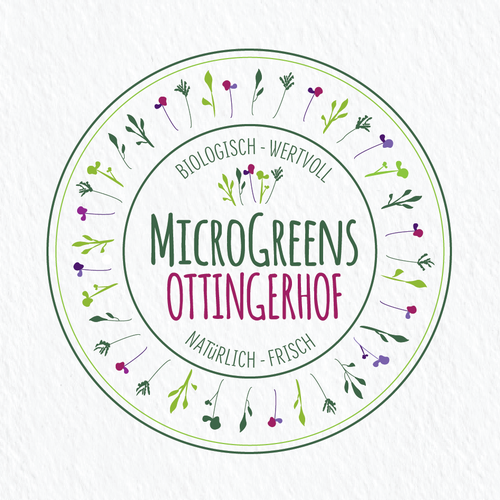  contest entry by BF Graphics