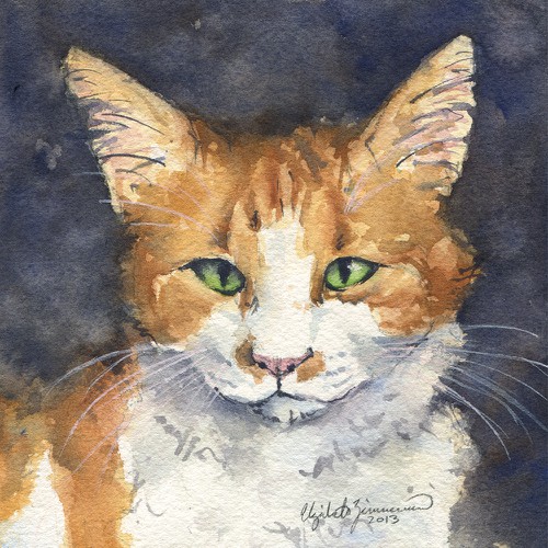 Townes the Cat needs to be illustrated for my girlfriend's birthday! Design by ZimmermanArtist
