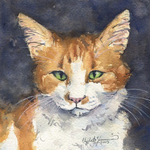 Townes the Cat needs to be illustrated for my girlfriend's birthday! Ontwerp door ZimmermanArtist