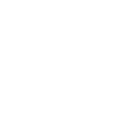 orbital8 - white.png