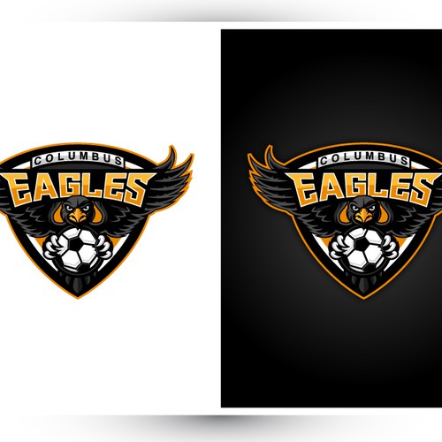 Create a winning logo design for our Women's Semi-Pro soccer team ...