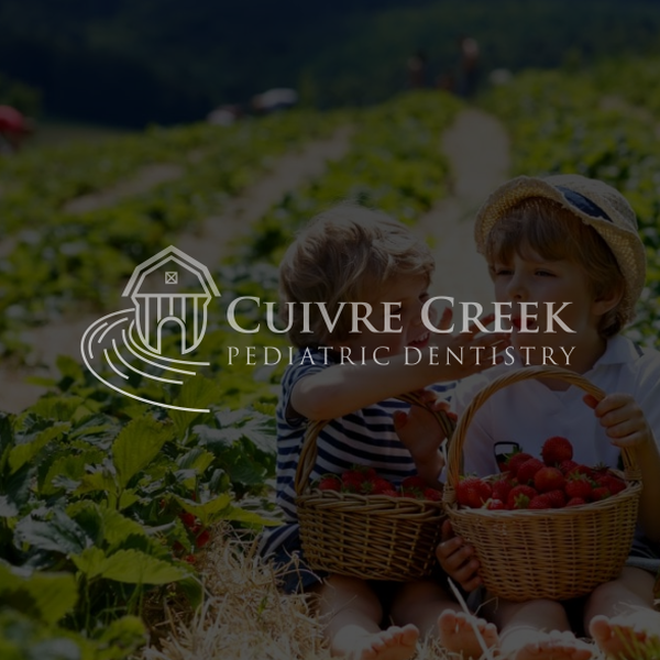 Cuivre Creek Pediatric Dentistry