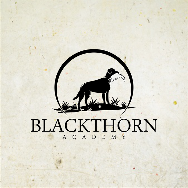 Design by ArtFortune titled "Blackthorn Academy"