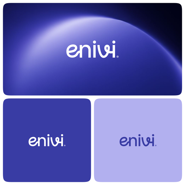 enviei