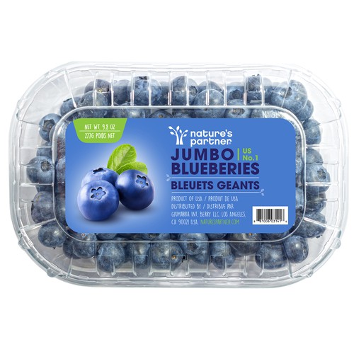 Jumbo Blueberries - 9.8oz : Target