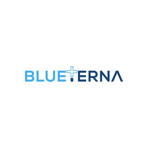 Blueterna Branding contest Design by Imam H.