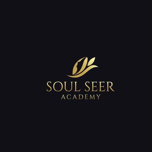 Streamlined ‘iconic’ logo for a spiritual development academy. Design by Arwen14