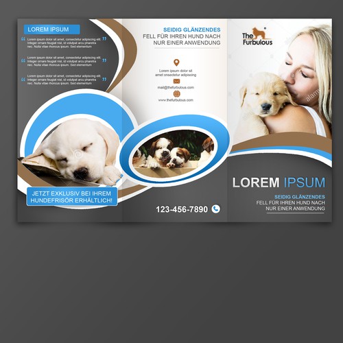 Brochure contest entry by Vivan M