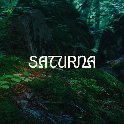 Saturna Logo (Musical Artist Logo) Design by RAYNO Design