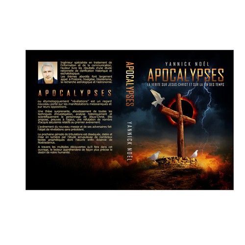 Book cover contest entry by Vexx Design