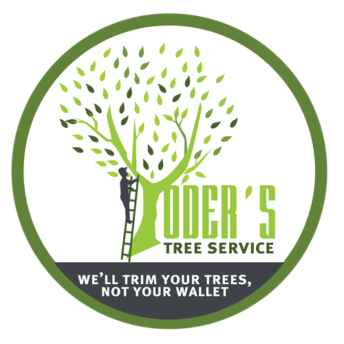 Tree Service Ontwerp door pengvang3