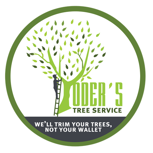 Tree Service | Logo design contest