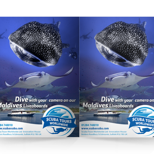 Design an A5 Print advert for a Scuba Diving Travel Company for an