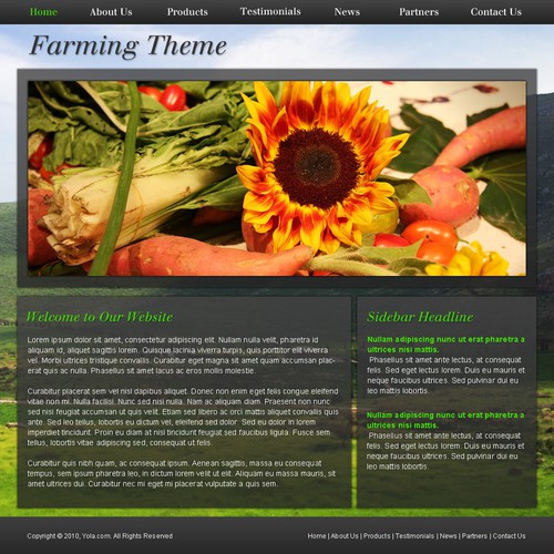 1-3 Page Website Template Design von xara