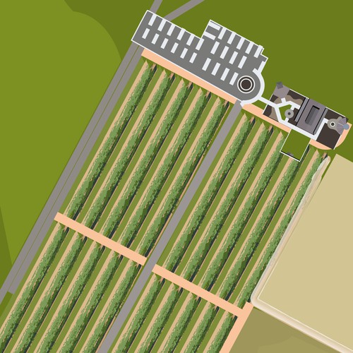 Artist interpretation of a Vineyard map Design by Andres M.