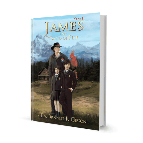 Create a fiction book cover with the potential for follow-up paid projects Design by Lizi 88