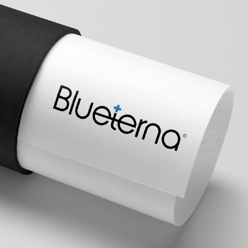 Blueterna Branding contest Design by Imam H.