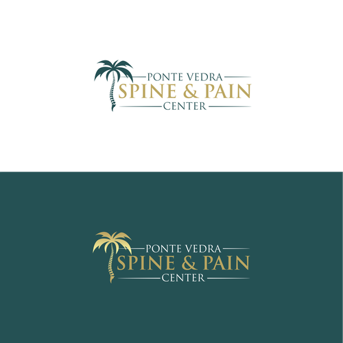 Spine and Pain Medical Practice in Florida Design by rahajuan