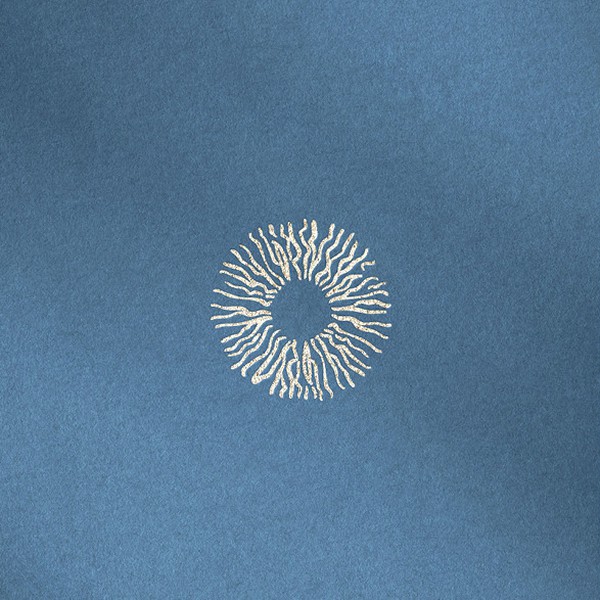 Design by KD Berlin titled "Logodesign for an Iris Photographer"