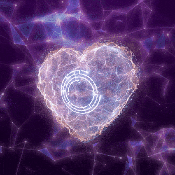 Animation + Illustration